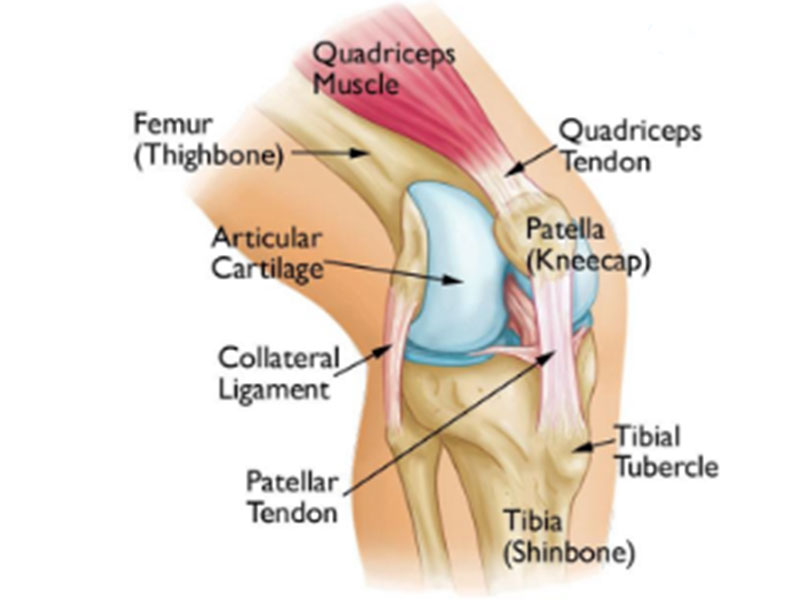 درد جلوی زانو